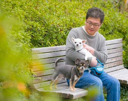 安達 憲一郎 医師の愛犬